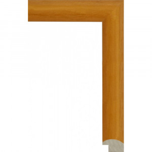 122N.RS.302.1 Пластиковый багет Оранжевый
